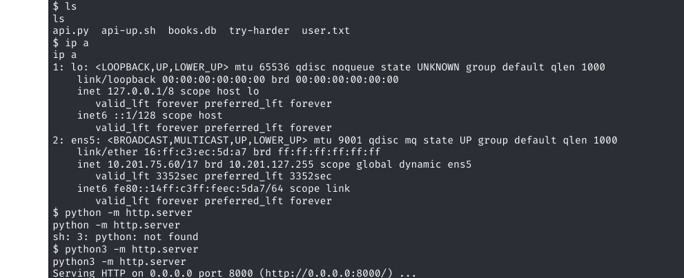 try-harder SUID binary in home dir, prompts for magic number
