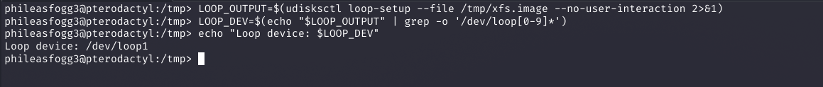 LOOP_OUTPUT and LOOP_DEV shell variables capturing loop device, echo shows Loop device: /dev/loop1
